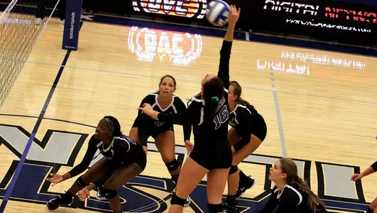 Natale Zanellato, 2017 Volleyball