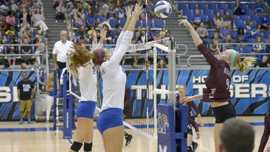 Hannah Flowers, 2017 Volleyball