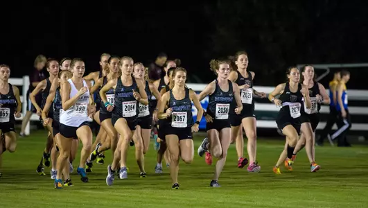 Arnica Zitting, 2017 Women's Cross Country