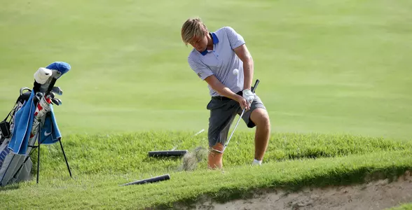 Rodi Vlasveld Action