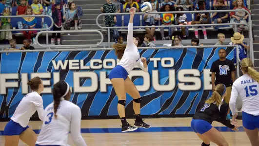 Hannah Flowers, 2017 Volleyball