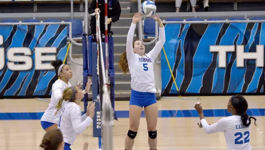 Tia Gleason, 2017 Volleyball