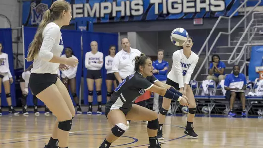Kaitlyn Gehler, 2018 Volleyball