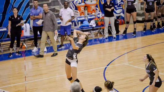 Meredith Wallace, 2018 Volleyball