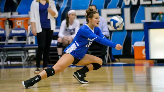 Kaitlyn Gehler, 2018 Volleyball