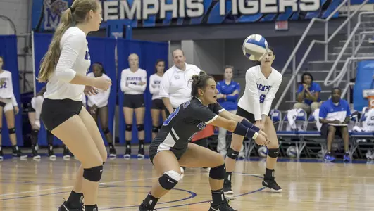 Kaitlyn Gehler, 2018 Volleyball