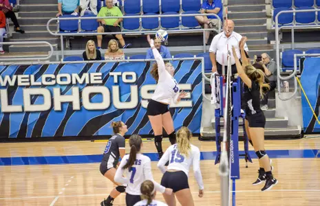 Anna Palmer, 2018 Volleyball