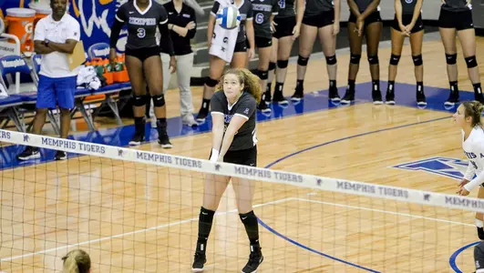 Anna Palmer, 2018 Volleyball