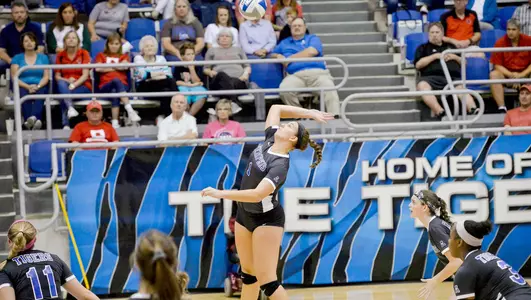 Hannah Flowers, 2018 Volleyball