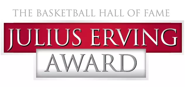 Julius Erving Award