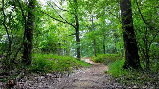 Shelby Farms Park, 2019 Cross Country