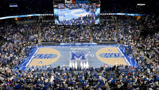 FedExForum Floor, 2019-20 Men's Basketball