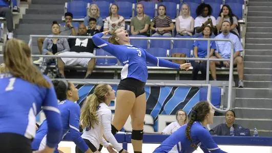 Caitlin Schultz, 2019 Volleyball