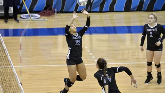 Sabrina Bianco, 2019 Volleyball