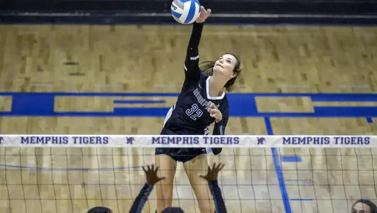 Meredith Wallace, 2019 Volleyball