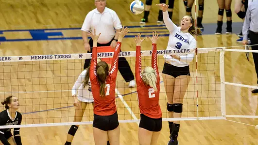 Caitlin Schultz, 2019 Volleyball