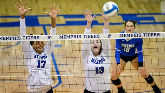 Anna Palmer, 2019 Volleyball