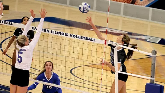 Meredith Wallace, 2019 Volleyball