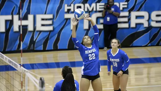 Sabrina Bianco, 2019 Volleyball