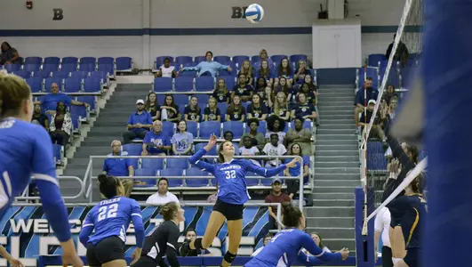 Meredith Wallace, 2019 Volleyball