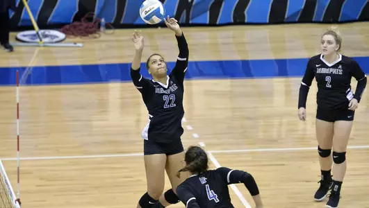 Sabrina Bianco, 2019 Volleyball