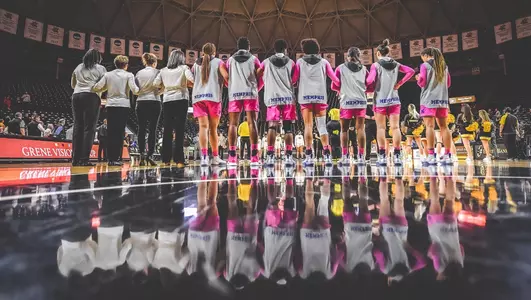 Feb 13, 2020; Wichita, Kansas, USA; during during an AAC matchup between the Memphis Tigers and Wichita State Shockers at Charles Koch Arena ©KellyRoss