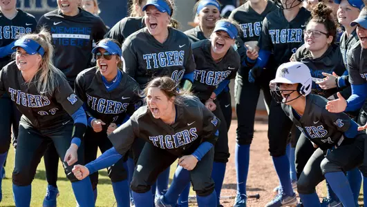 Softball Celebration