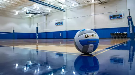 Larry Finch Volleyball Court