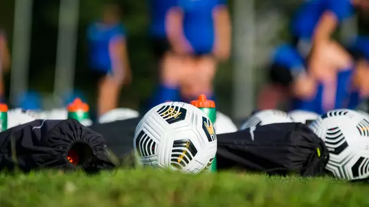 soccer balls
