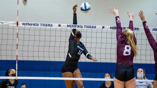 Tigers VB GSU Invitational