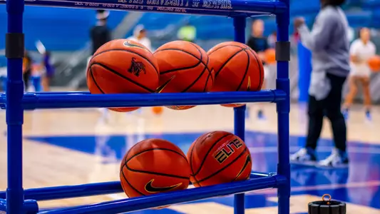 WBB Stock_ECU