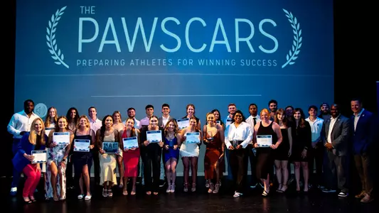 PAWSCARS-Group