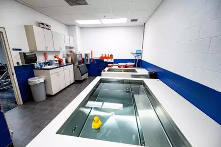 Practice on 02252024.