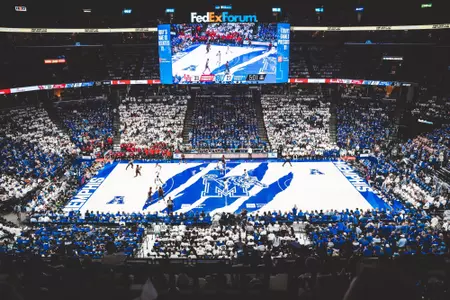 Stripe Out vs Houston