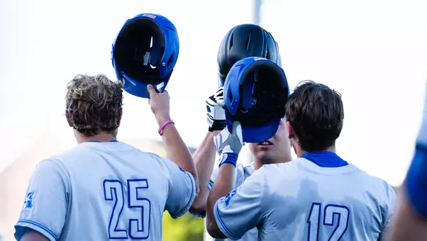 2026 Baseball Season Tickets