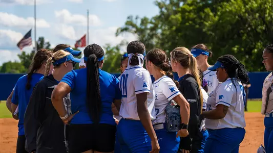 Brienesse Placeholder Cover