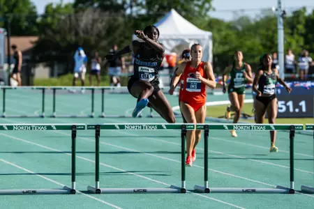 Judy Elful 400mh