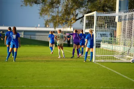 WSOC at USF