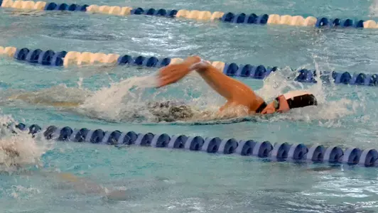 Rife BE 500 free