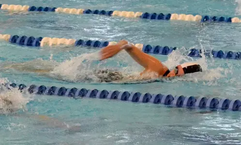 rife BE championship