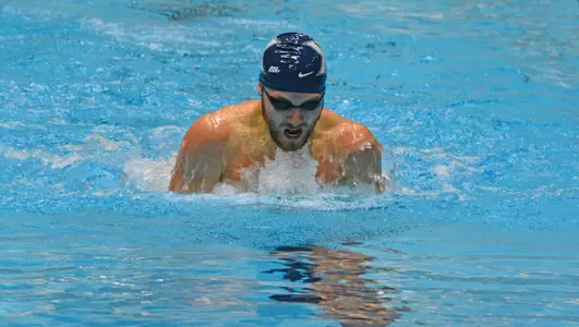 Pettinichi Breast IUPUI 2015-16