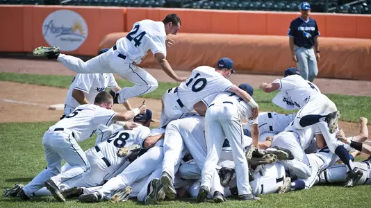Dogpile