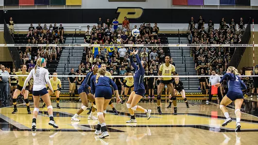 Volleyball at Purdue