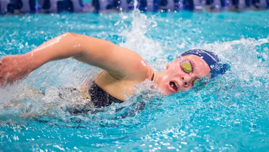 Swim CSU