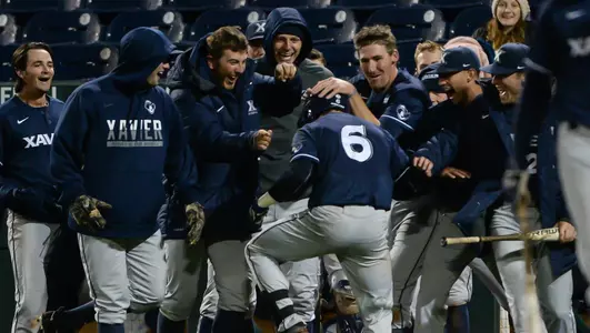 Celebration Baseball