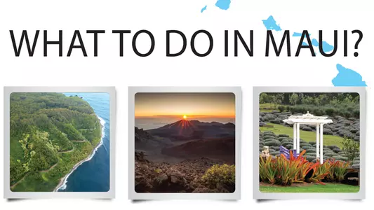 Maui Cover