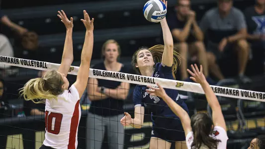 Morgan Finn vs Louisville