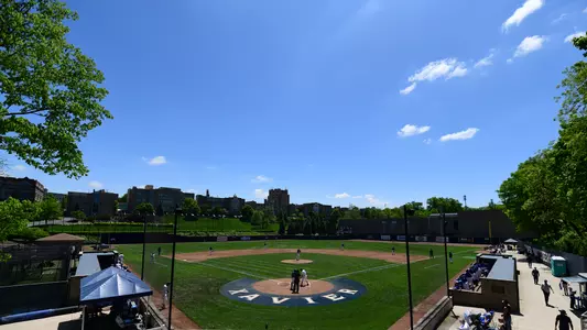 Hayden Field