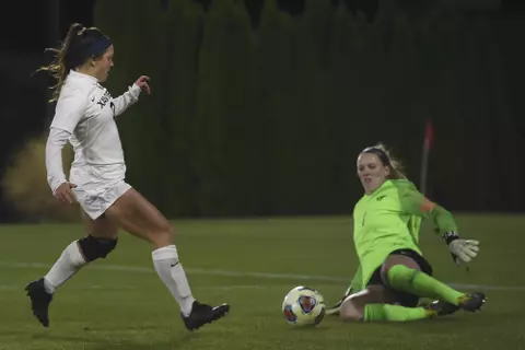 Photo by Michael Shroyer