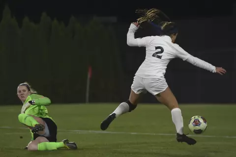 Photo by Michael Shroyer